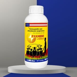 PANMIDE